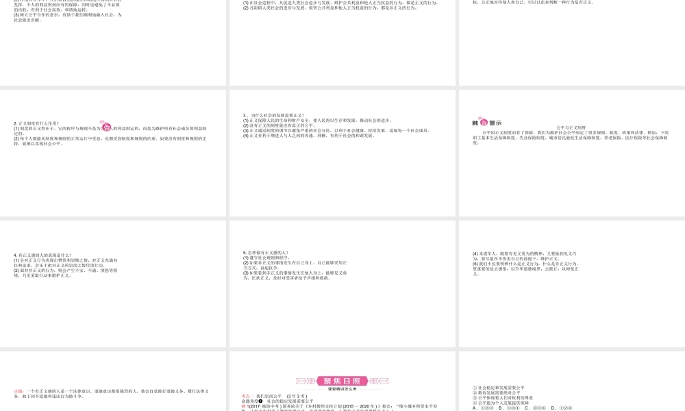 （日照专版）中考政治总复习 基础知识梳理 八下 第四单元 我们崇尚公平和正义课件-人教版初中九年级全册政治课件