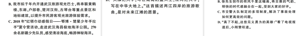 （武汉专版）春八年级语文下册 期末专题复习四 标点符号的辨析习题课件 新人教版-新人教版初中八年级下册语文课件