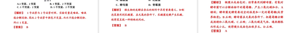 （新课标）浙江省中考科学基础复习 第44课 生命科学基础复习实验课件-人教版初中九年级全册自然科学课件