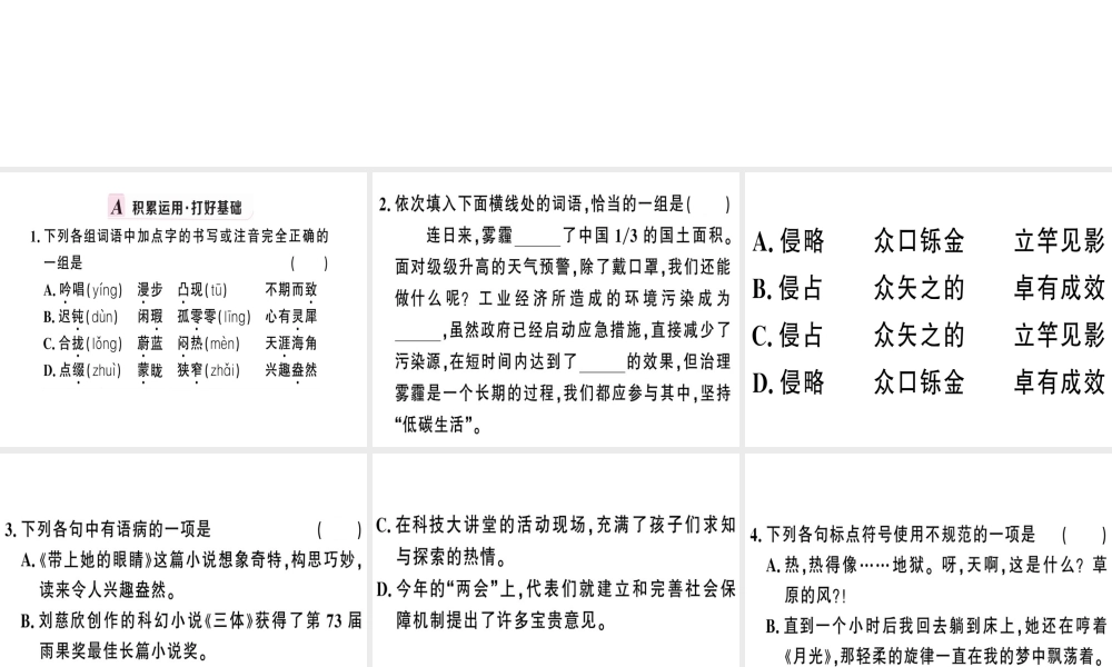 （武汉专版）春七年级语文下册 第六单元 23 带上她的眼睛习题课件 新人教版-新人教版初中七年级下册语文课件