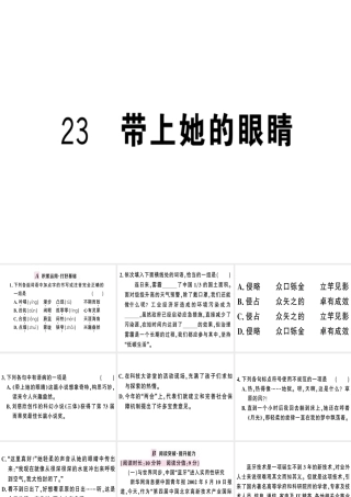 （武汉专版）春七年级语文下册 第六单元 23 带上她的眼睛习题课件 新人教版-新人教版初中七年级下册语文课件