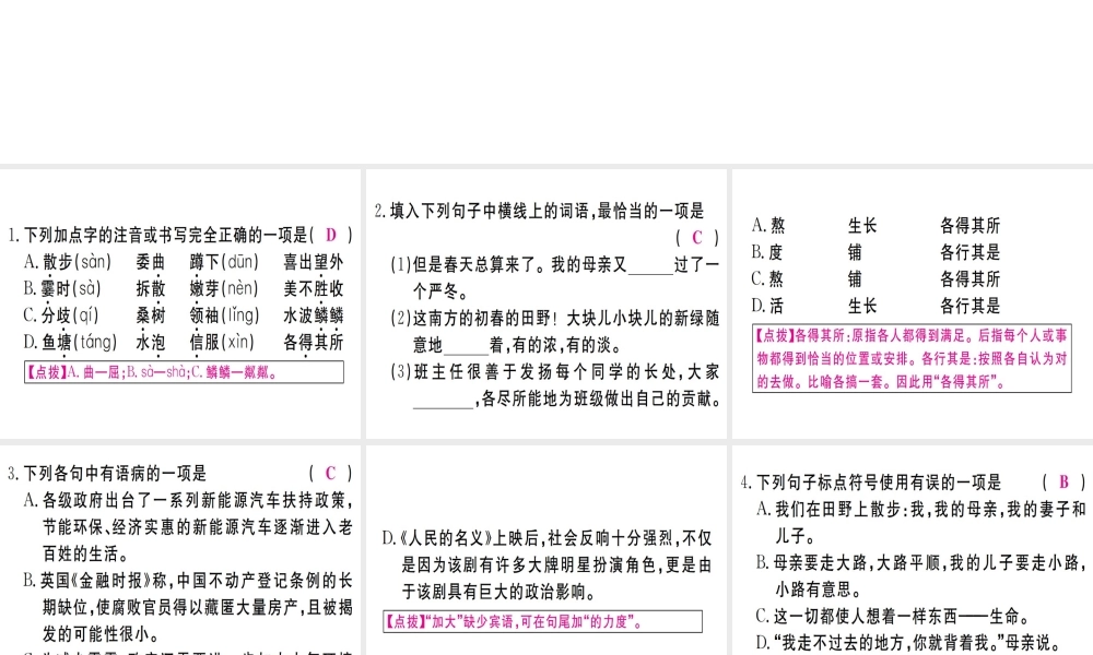 （武汉专版）七年级语文上册 第二单元 6 散步习题课件 新人教版-新人教版初中七年级上册语文课件