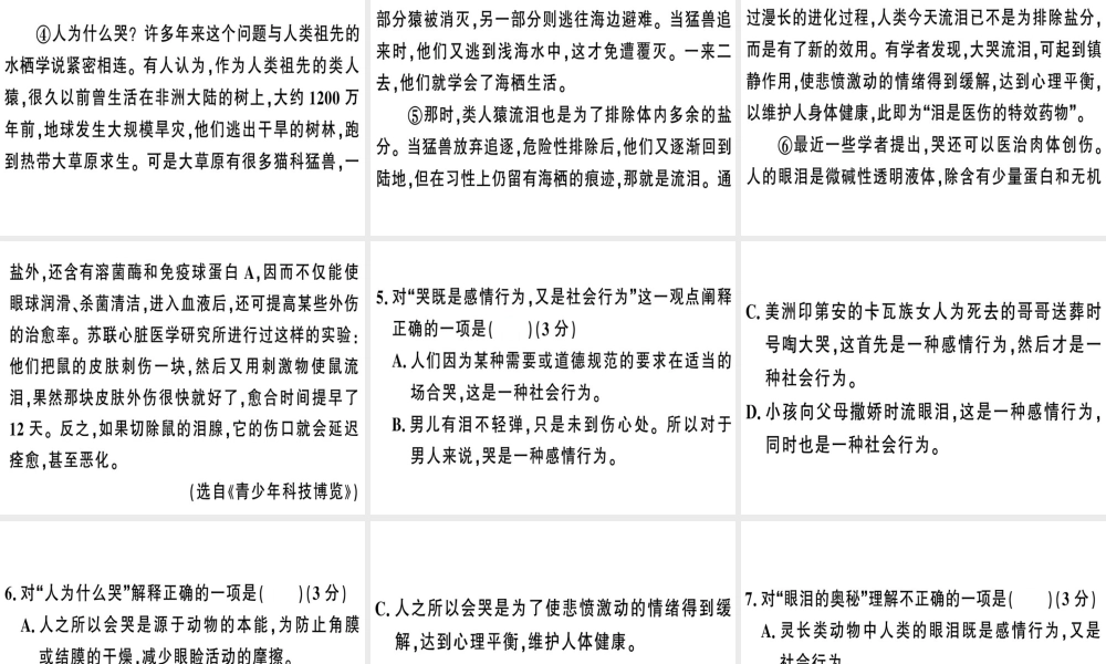 （武汉专版）春七年级语文下册 第三单元 11 台 阶习题课件 新人教版-新人教版初中七年级下册语文课件