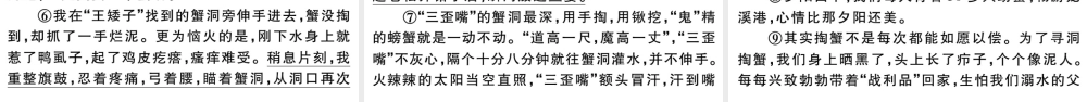 （武汉专版）七年级语文上册 第三单元 9 从百草园到三味书屋课件 新人教版-新人教版初中七年级上册语文课件