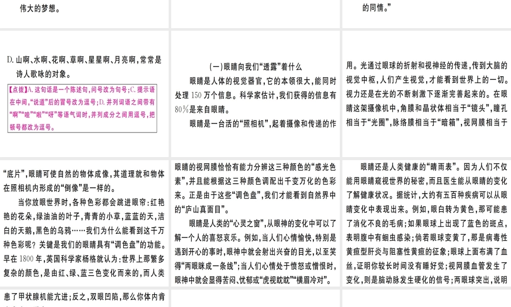 （武汉专版）七年级语文上册 第三单元 9 从百草园到三味书屋习题课件 新人教版-新人教版初中七年级上册语文课件