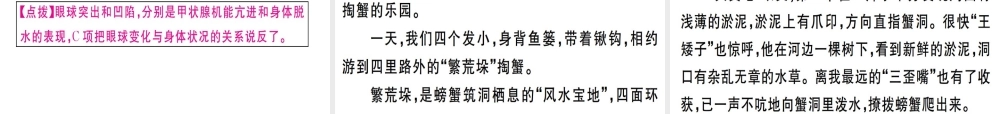 （武汉专版）七年级语文上册 第三单元 9 从百草园到三味书屋习题课件 新人教版-新人教版初中七年级上册语文课件