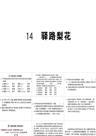 （武汉专版）春七年级语文下册 第四单元 14 驿路梨花习题课件 新人教版-新人教版初中七年级下册语文课件