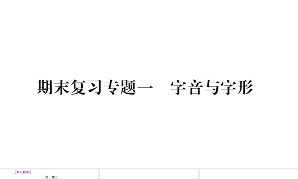 （毕节专版）九年级语文上册 期末复习一 字音与字形习题课件 新人教版-新人教版初中九年级上册语文课件