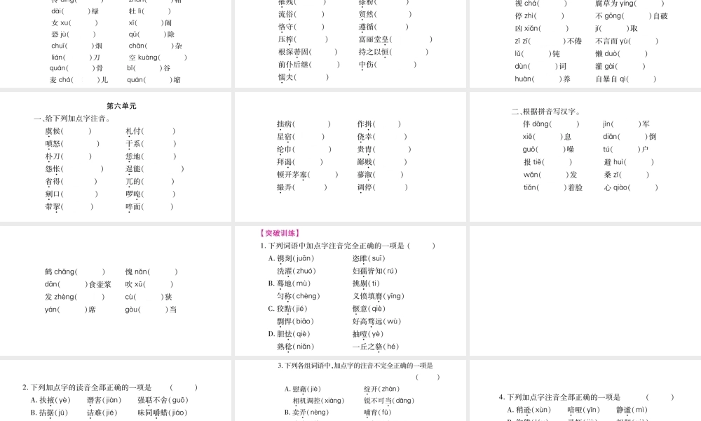 （毕节专版）九年级语文上册 期末复习一 字音与字形习题课件 新人教版-新人教版初中九年级上册语文课件