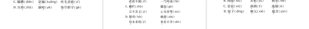 （毕节专版）九年级语文上册 期末复习一 字音与字形习题课件 新人教版-新人教版初中九年级上册语文课件