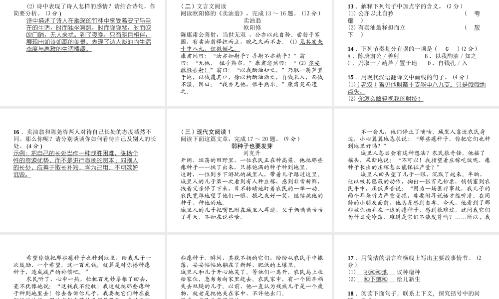 （毕节专版）七年级语文下册 第三单元达标测试课件 新人教版-新人教版初中七年级下册语文课件