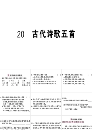 （武汉专版）春七年级语文下册 第五单元 20 古代诗歌五首习题课件 新人教版-新人教版初中七年级下册语文课件