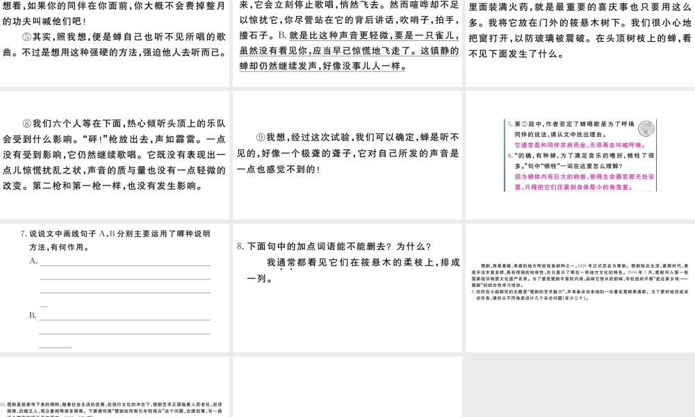 （武汉专版）秋八年级语文上册 第五单元 20 蝉习题课件 新人教版-新人教版初中八年级上册语文课件