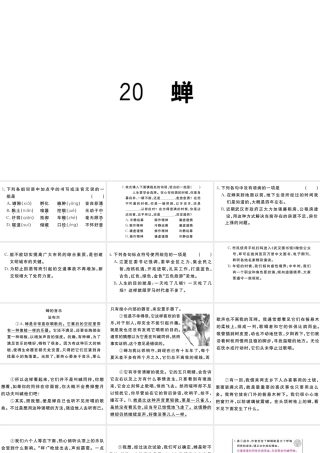 （武汉专版）秋八年级语文上册 第五单元 20 蝉习题课件 新人教版-新人教版初中八年级上册语文课件
