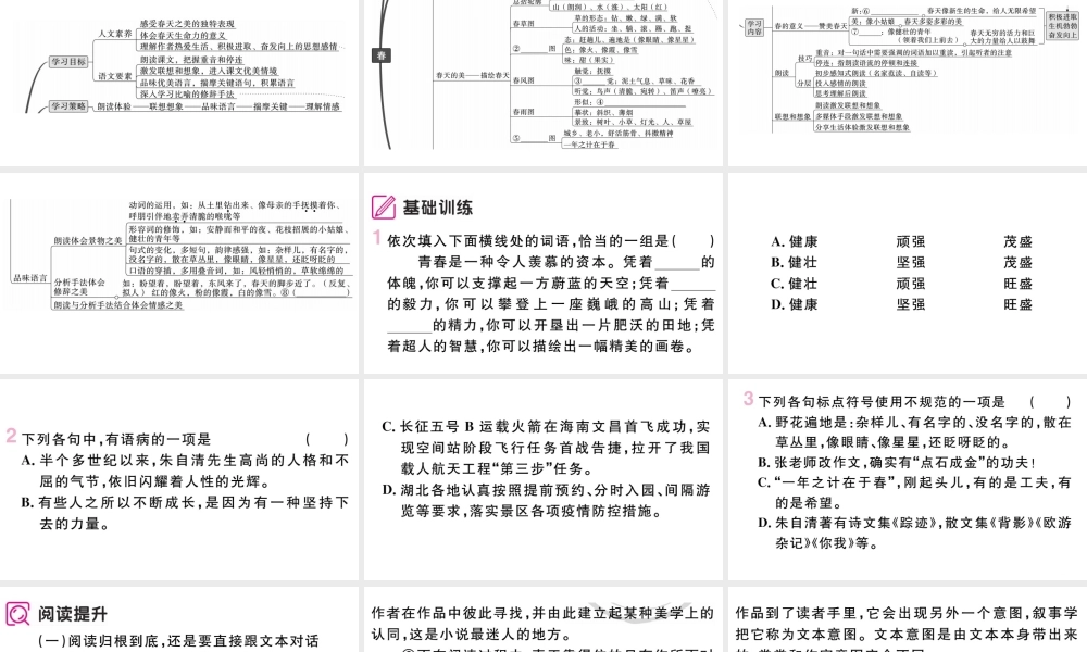 （武汉专版）七年级语文上册 第一单元 1 春课件 新人教版-新人教版初中七年级上册语文课件