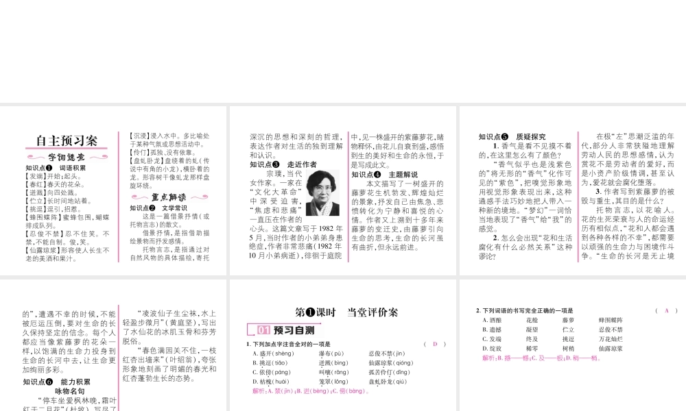 （毕节专版）七年级语文下册 第五单元 17 紫藤萝瀑布课件 新人教版-新人教版初中七年级下册语文课件