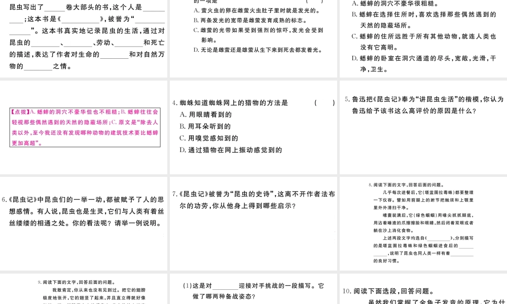 （武汉专版）秋八年级语文上册 第五单元 名著导读《昆虫记》习题课件 新人教版-新人教版初中八年级上册语文课件