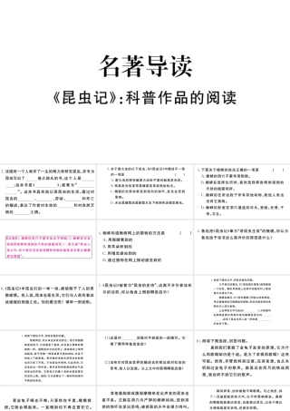 （武汉专版）秋八年级语文上册 第五单元 名著导读《昆虫记》习题课件 新人教版-新人教版初中八年级上册语文课件