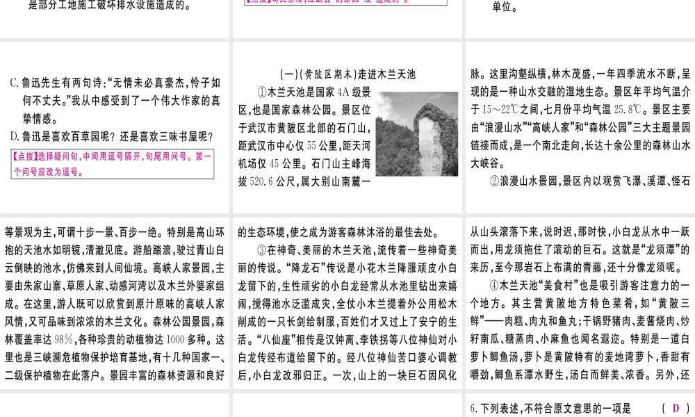 （武汉专版）七年级语文上册 第六单元 19 皇帝的新装习题课件 新人教版-新人教版初中七年级上册语文课件