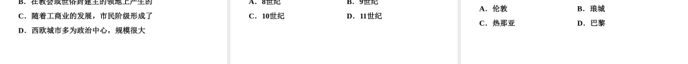 （新课标深圳专用版）中考历史总复习 第四讲 世界古代史 第二单元 中世纪西欧城市的兴起、基督教课件-人教版初中九年级全册历史课件