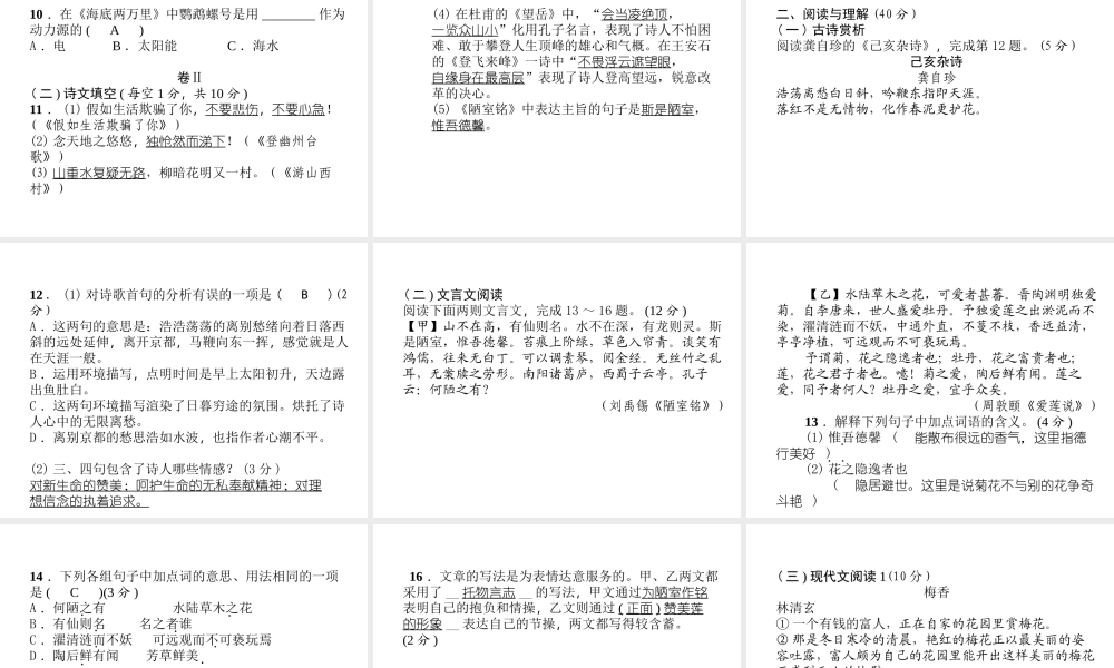 （毕节专版）七年级语文下册 第五单元达标测试课件 新人教版-新人教版初中七年级下册语文课件