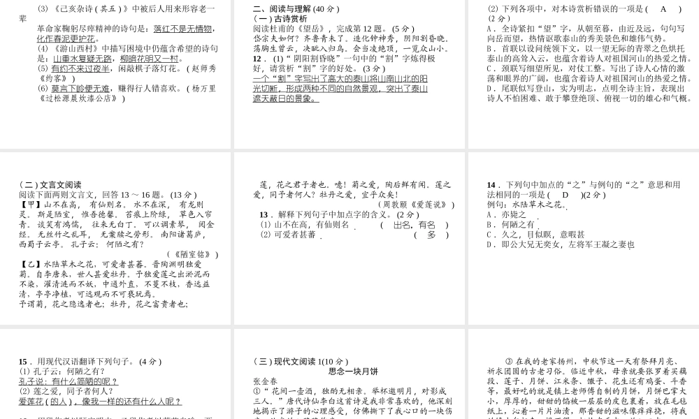 （毕节专版）七年级语文下册 期末达标测试课件 新人教版-新人教版初中七年级下册语文课件
