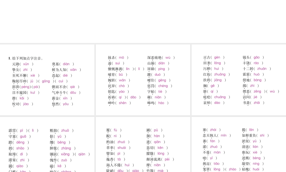 （毕节专版）七年级语文下册 专题1 拼音与汉字课件 新人教版-新人教版初中七年级下册语文课件