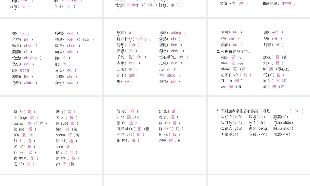 （毕节专版）七年级语文下册 专题1 拼音与汉字课件 新人教版-新人教版初中七年级下册语文课件