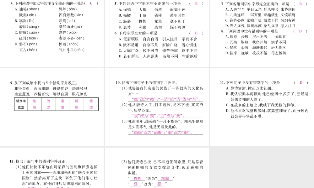 （毕节专版）七年级语文下册 专题1 拼音与汉字课件 新人教版-新人教版初中七年级下册语文课件