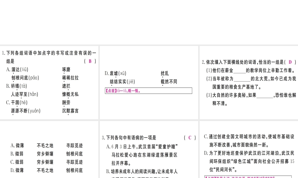 （武汉专版）七年级语文上册 第四单元 13 植树的牧羊人习题课件 新人教版-新人教版初中七年级上册语文课件