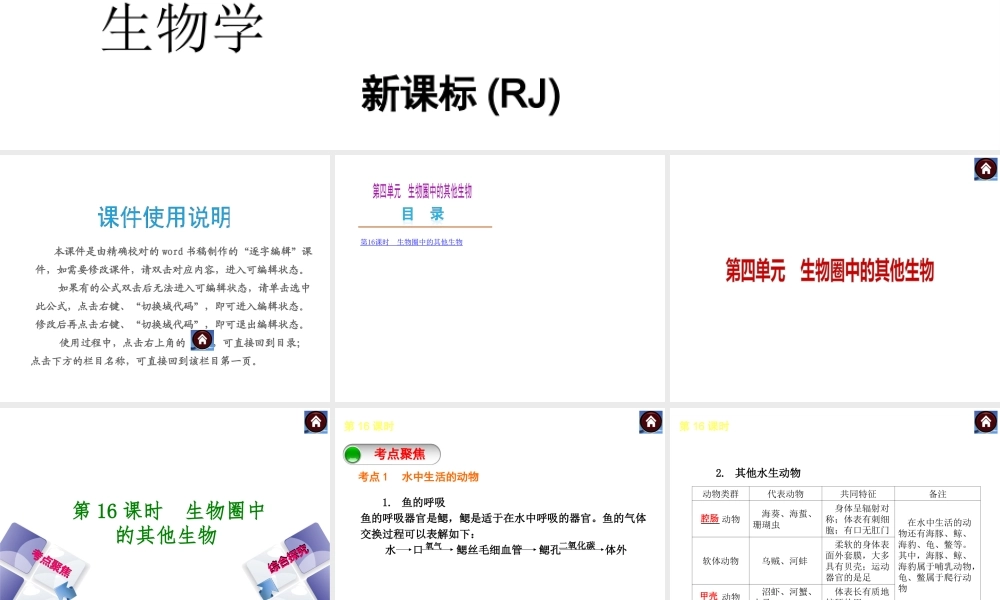 （新课标）（包头专版）2014中考生物复习方案 第四单元 生物圈中的其他生物（考点聚焦+综合探究）课件 新人教版