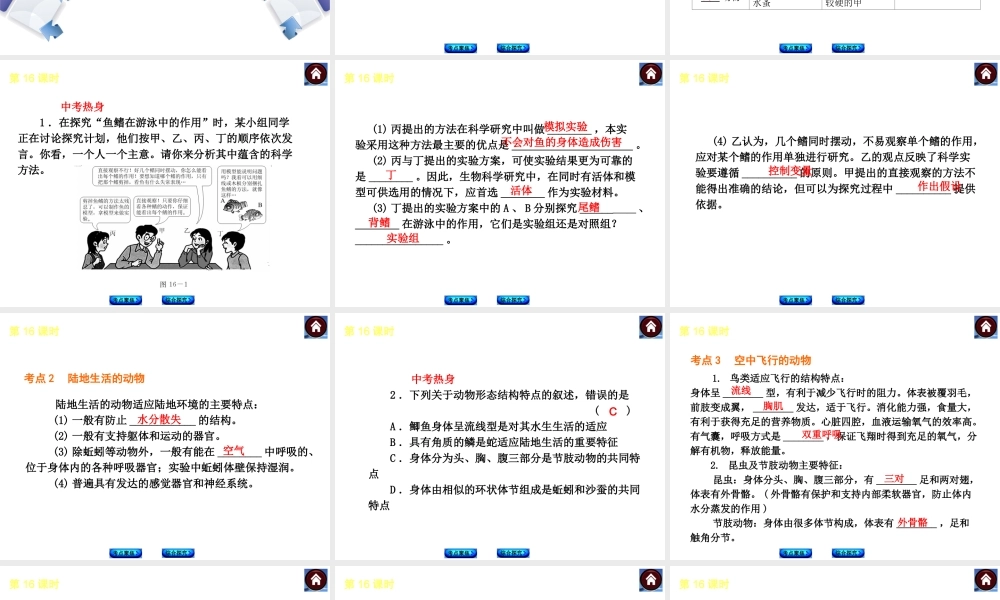 （新课标）（包头专版）2014中考生物复习方案 第四单元 生物圈中的其他生物（考点聚焦+综合探究）课件 新人教版