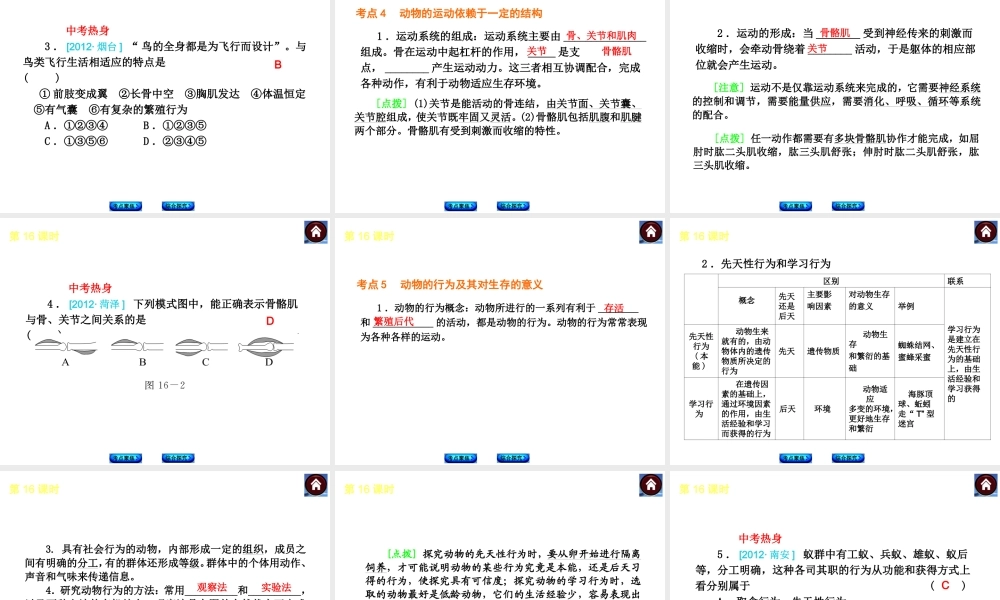 （新课标）（包头专版）2014中考生物复习方案 第四单元 生物圈中的其他生物（考点聚焦+综合探究）课件 新人教版