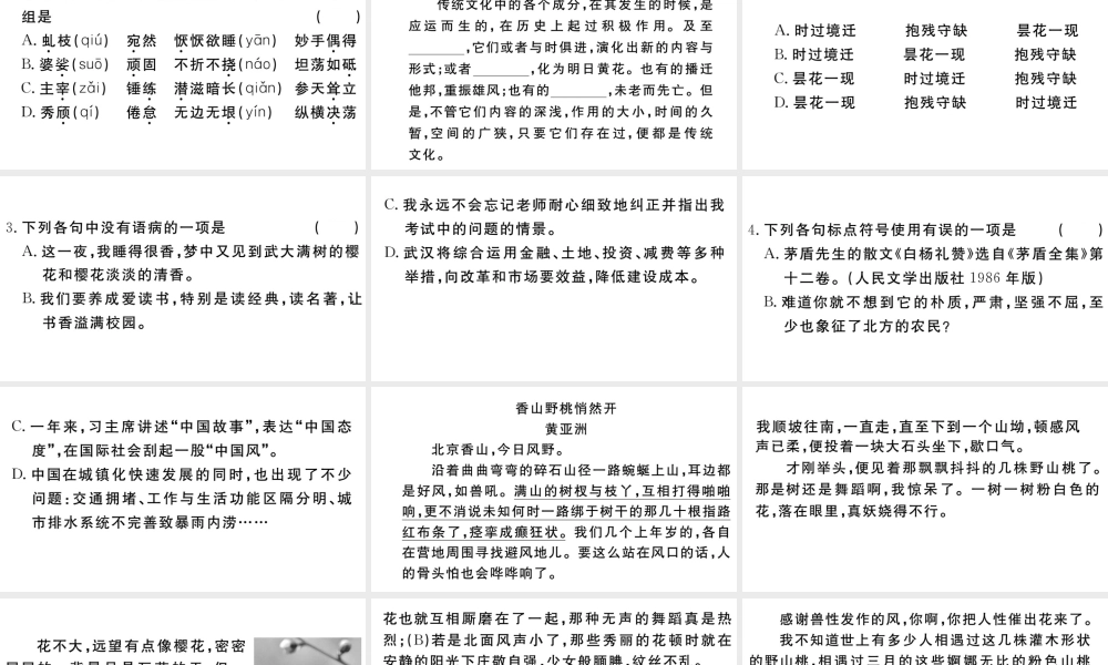 （武汉专版）秋八年级语文上册 第四单元 15 白杨礼赞习题课件 新人教版-新人教版初中八年级上册语文课件