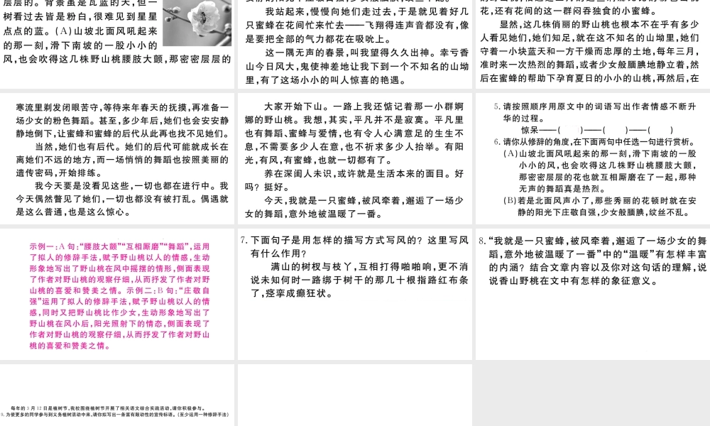 （武汉专版）秋八年级语文上册 第四单元 15 白杨礼赞习题课件 新人教版-新人教版初中八年级上册语文课件