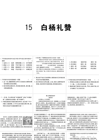 （武汉专版）秋八年级语文上册 第四单元 15 白杨礼赞习题课件 新人教版-新人教版初中八年级上册语文课件