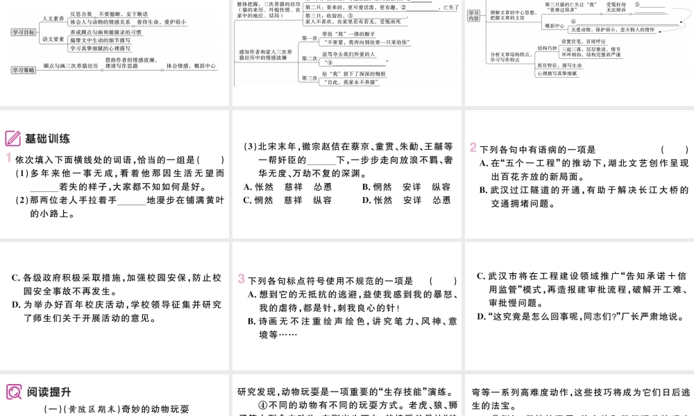 （武汉专版）七年级语文上册 第五单元 16 猫课件 新人教版-新人教版初中七年级上册语文课件