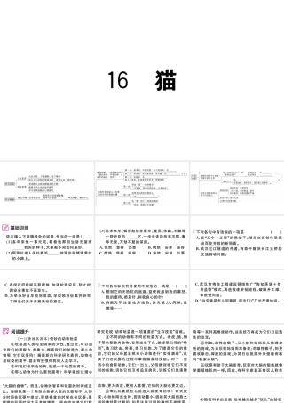 （武汉专版）七年级语文上册 第五单元 16 猫课件 新人教版-新人教版初中七年级上册语文课件