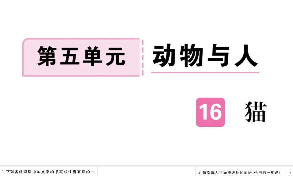 （武汉专版）七年级语文上册 第五单元 16 猫习题课件 新人教版-新人教版初中七年级上册语文课件