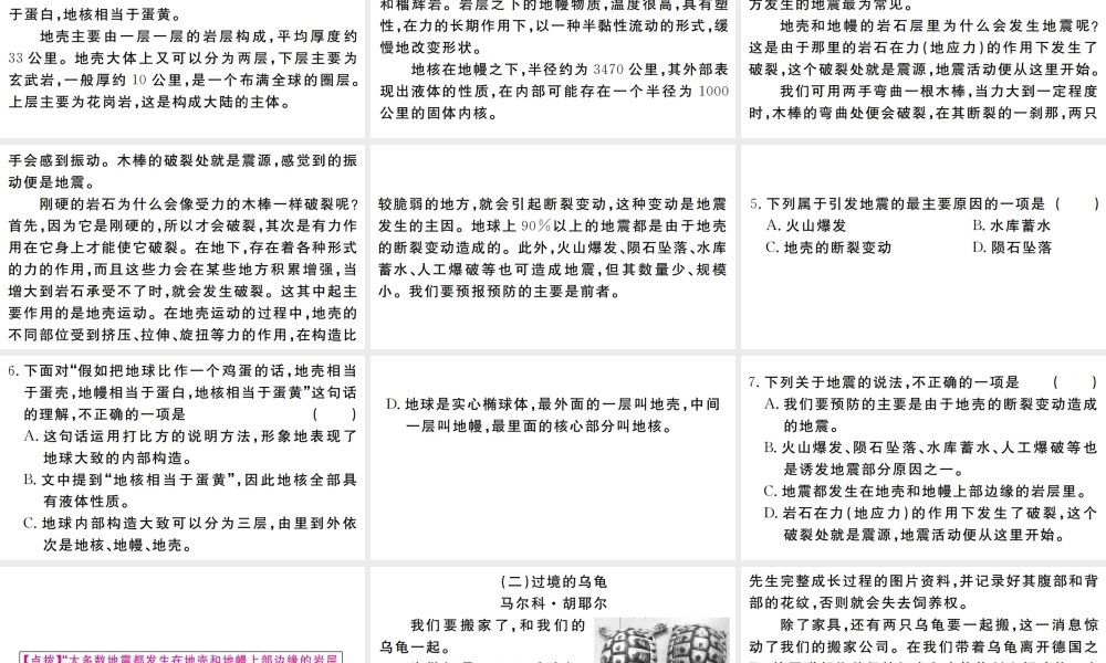 （武汉专版）七年级语文上册 第五单元 16 猫习题课件 新人教版-新人教版初中七年级上册语文课件