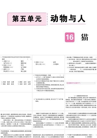 （武汉专版）七年级语文上册 第五单元 16 猫习题课件 新人教版-新人教版初中七年级上册语文课件