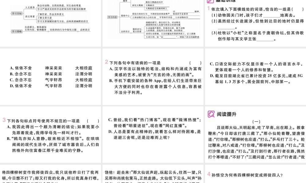 （武汉专版）七年级语文上册 第五单元 17 动物笑谈课件 新人教版-新人教版初中七年级上册语文课件