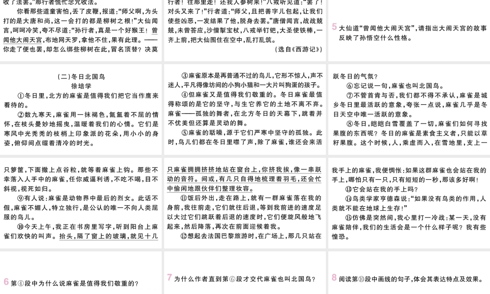 （武汉专版）七年级语文上册 第五单元 17 动物笑谈课件 新人教版-新人教版初中七年级上册语文课件