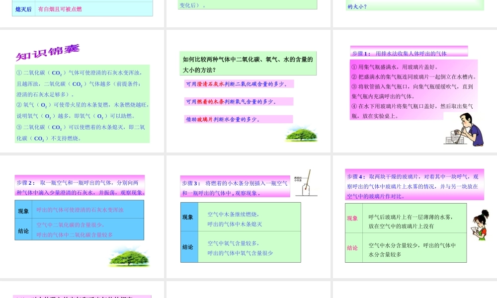 （新课程）2013年秋九年级化学上册 课题2 化学是一门以实验为基础的科学课件 （新版）新人教版