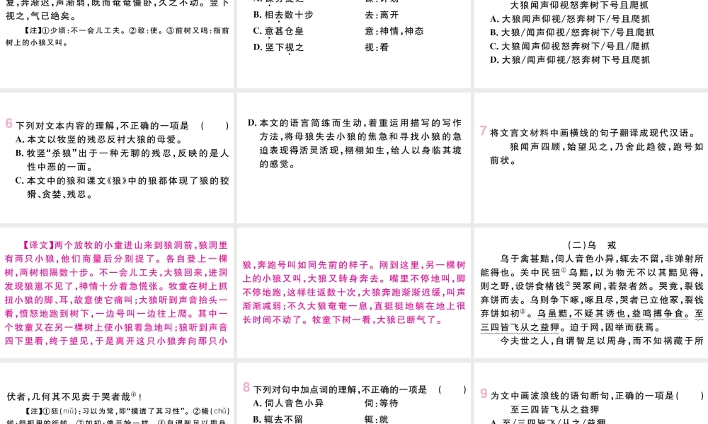 （武汉专版）七年级语文上册 第五单元 18 狼课件 新人教版-新人教版初中七年级上册语文课件