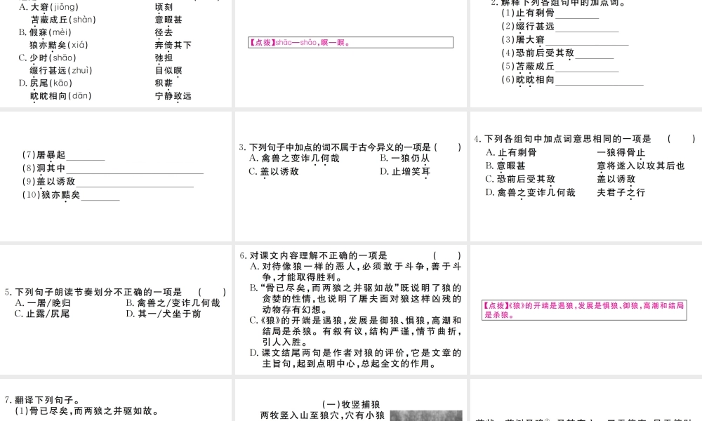 （武汉专版）七年级语文上册 第五单元 18 狼习题课件 新人教版-新人教版初中七年级上册语文课件