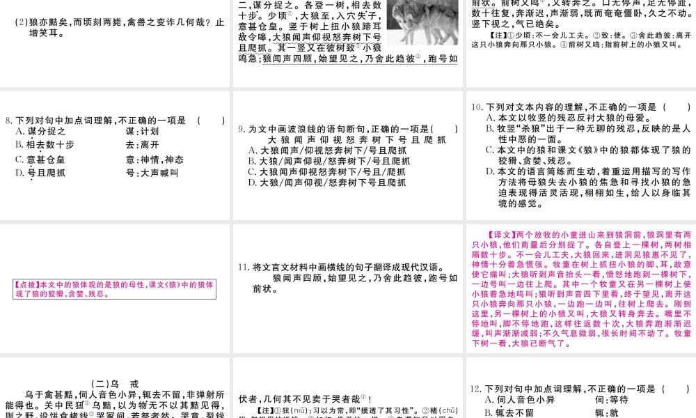 （武汉专版）七年级语文上册 第五单元 18 狼习题课件 新人教版-新人教版初中七年级上册语文课件