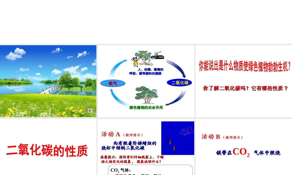 （新课程）2013年秋九年级化学上册 课题3 二氧化碳和一氧化碳（第1课时）课件 （新版）新人教版