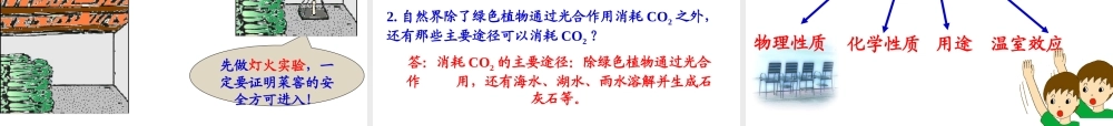 （新课程）2013年秋九年级化学上册 课题3 二氧化碳和一氧化碳（第1课时）课件 （新版）新人教版