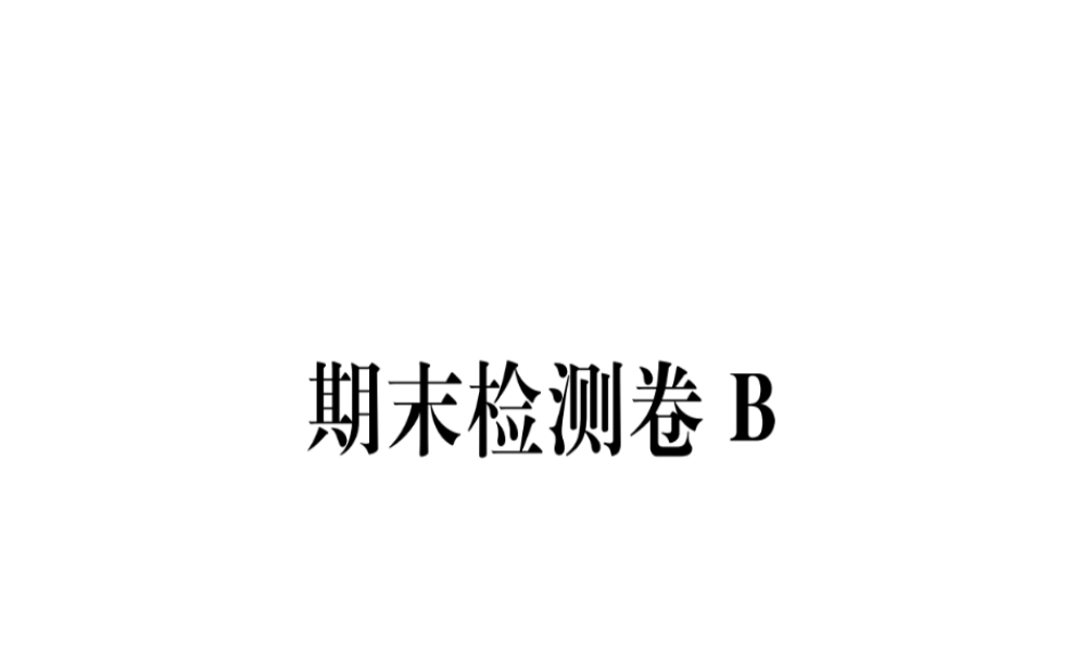 （武汉专用）八年级语文上册 期末检测卷B习题课件 新人教版-新人教版初中八年级上册语文课件